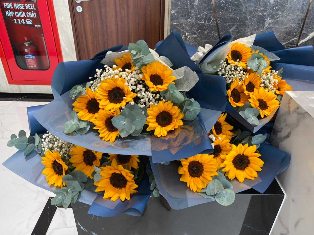 1641789302 504 HAN HOAN CHAO DON CHU NHAN CAC CAN HO TOA